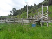 Image of a Whakatane rural property valued by Boyes James McKay