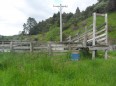 Image of a Whakatane rural property valued by Boyes James McKay